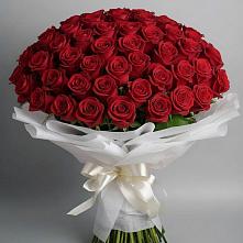 Букет 101 Красная роза Блэк Мэджик в Сосново Ленинградская область