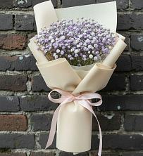 Букет цветов из:  Гипсофила в Сосново Ленинградская область