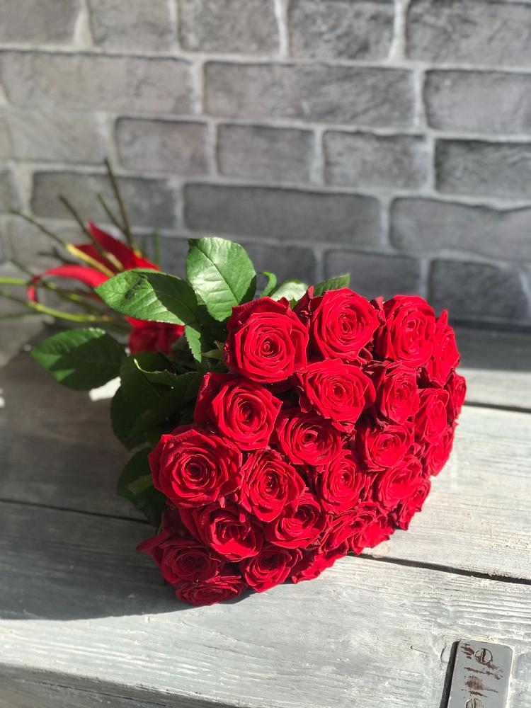 Букет Красные розы Фридом в Сосново Ленинградская область