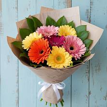 Букет цветов из:  Герберы в Сосново Ленинградская область