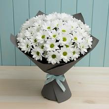 Букет цветов из:  Хризантемы в Сосново Ленинградская область