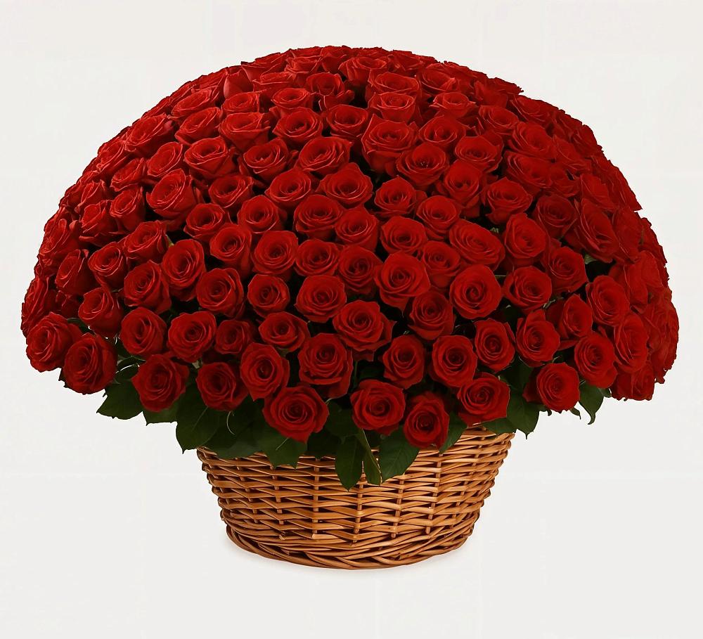 Премиум букет из: Розы в Сосново Ленинградская область