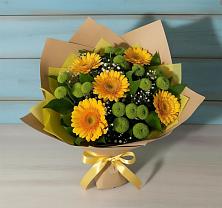 Букет цветов из:  Герберы и Хризантемы в Сосново Ленинградская область