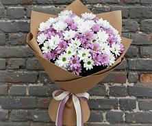 Букет цветов из:  Хризантемы в Сосново Ленинградская область