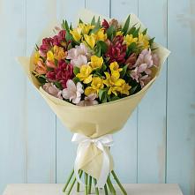 Букет цветов из:  Альстромерии #REPLACE_PRED# Сосново Ленинградская область