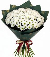 Букет цветов из:  Хризантемы в Сосново Ленинградская область