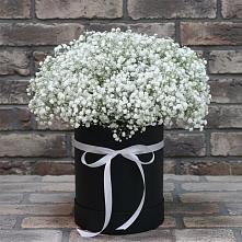 Цветочная композиция из Гипсофила в шляпной коробке #REPLACE_PRED# Сосново Ленинградская область