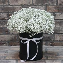 Цветочная композиция из Гипсофила в шляпной коробке в Сосново Ленинградская область