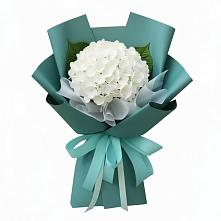 Букет цветов из:  Гортензия в Сосново Ленинградская область
